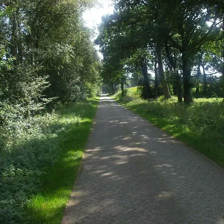 Bb Wiesenblick *