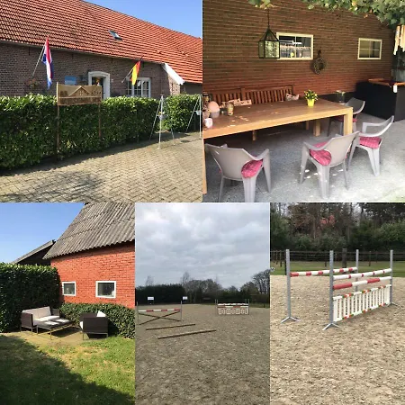 Bb Wiesenblick Bed & Breakfast *